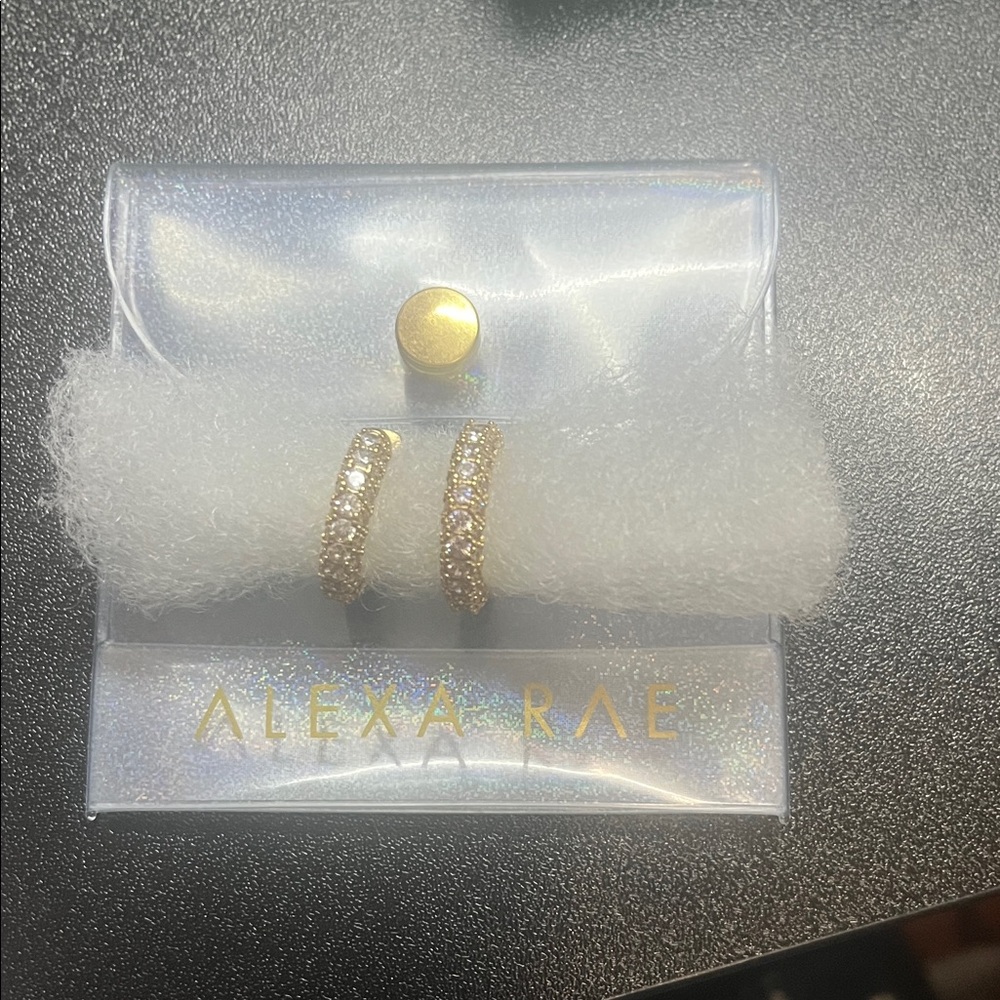 Gold Hoop CZ  Earrings by Alexa Rae